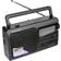 Panasonic RF-3500