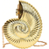 Shein Conch Niche Design Creative Acrylic Bag Womens Bag Personalized Casual Trend Single Shoulder Bag Snail Shape Fashionable And Versatile Crossbody