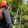 Garden Gear 20V Telescopic Chainsaw 3.8kg