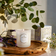 Voluspa Mountain Lavender & Chamomile Classic Boxed Candle 60H Vit Doftljus 270g