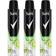Sure Men Deodorant Spray Bergamot and Mint 200ml Set of 12