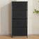 Alivio 4 Black Drawers with Steel Frame 30 x 40 x 93.7 cm Chest of Drawer