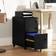 Vinsetto Lockable Mobile Filing 30 x 43.5 x 60 cm Black Storage Cabinet
