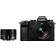 Panasonic DC-S5DWE-K Lumix S5D Full Frame Mirrorless Camera Body