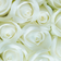 Rosely White Delight