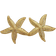 Shein Starfish Stud Earrings