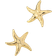 Shein pair Stylish Elegant Irregular Starfish Stud Earrings With Ocean Theme