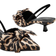 Shein Womens Pointed Toe Kitten Heel Stilettos Leopard Print Solid Colors Ankle Strap Elegant Daily Wear Heels Suitable For Outdoor Festivals Part