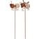 Star Trading Aurinkokennokoriste Oxida Bug 2-p 51cm 2kpl