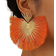 Shein Tassel Drop Earrings