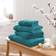Dunelm Egyptian Guest Towel Green, Blue (20x15cm)