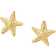 Shein pair Fashionable Elegant Delicate Starfish Stud Earrings