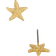 Shein pair Fashionable Elegant Delicate Starfish Stud Earrings