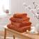 Dunelm Egyptian Cotton Kitchen Towel Brown (30x30cm)