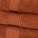 Dunelm Egyptian Cotton Kitchen Towel Brown (30x30cm)