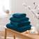 Dunelm Egyptian Cotton Kitchen Towel Blue (20x15cm)