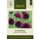 Impecta Rosenskära 'Double Click Cranberries'