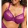 Elomi Matilda Plunge Wired Bra - Hollyhock
