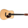 Eastman E8D
