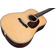 Eastman E8D