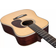 Eastman E8D