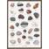 Koustrup & Co. Strandsten A2 Plakat 42x60cm