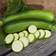 Impecta Squash, F1 Keesha