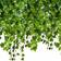 Efoy Girlander Bladgirlander 25 Meter Lang Green