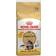 Royal Canin Maine Coon Adult 2kg