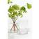H&M Large Glass Candle - White Lantern 20cm