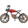 Hidoes Hidoes B10 Elektrofahrrad 1000-W 20 x 4 Zoll