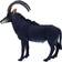 Mojo Sable Antelope Wildlife Animal