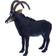 Mojo Sable Antelope Wildlife Animal