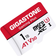 Gigastone 1TB Micro SD Card, Gaming Plus, MicroSDXC Memory Card for Nintendo-Switch, Wyze, GoPro, Dash Cam, Security Camera, 4K Video Recording, UHS-I A1 U3 V30 C10, up to 100MB/s, with Adapter