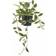 House Nordic Voksblomst H33 cm Grøn Kunstig plante