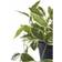 House Nordic Voksblomst H33 cm Grøn Kunstig plante