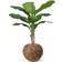 Green4Ever Banana Tree Green Konstgjord växt