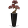 Green4Ever Imperial Silver Aralia Bonsai with UV Protection Red Konstgjord växt