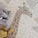 KM Carpets KMCarpets Genova Beige 120x170cm