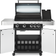 Falcon Memphis B41