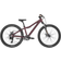 Scott Contessa 24 Disc 2022 Barncykel