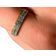ANNEBRAUNER ANNEBRAUNER Alliance L-Aquamarine