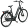 Batavus Altura Power Pro