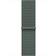 Apple Watch Band Sportloop 40 mm Salvia