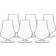 Luigi Bormioli Tentazioni Romglas Tester 6 St 23cl Whiskyglas 23cl 6st