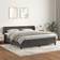 vidaXL Box Spring Con Colchón 180x200 cm Cama con Estructura