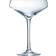 Arcoroc Coupe Champagneglas 30cl