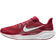 Nike Adults' Alabama Zoom Pegasus Running Shoes Dark Red/Silver, Men's Running