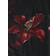 Shein Red Floral Print Mesh Slip DressCruise Women OutfitsChristmas DressElegant DressProm DressRed Women DressesDate Night Dress