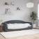 vidaXL Daybed 80 x 200 cm Velour Mørkegrå Sofa 222cm 3 personers
